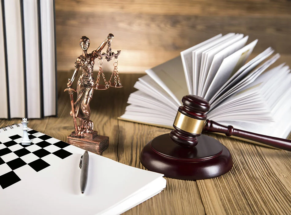 litigation lawyer
